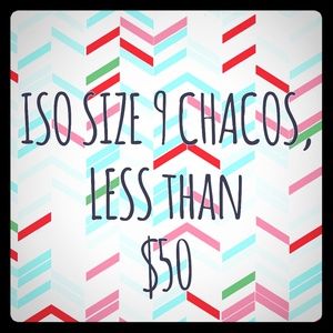 ISO womens size 9 Chacos.